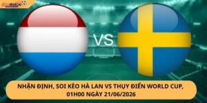 Nhận Định, Soi Kèo Hà Lan vs Thụy Điển